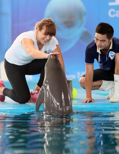 本技能的教 本技能的教